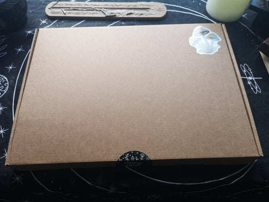 Witchy Mystery Box