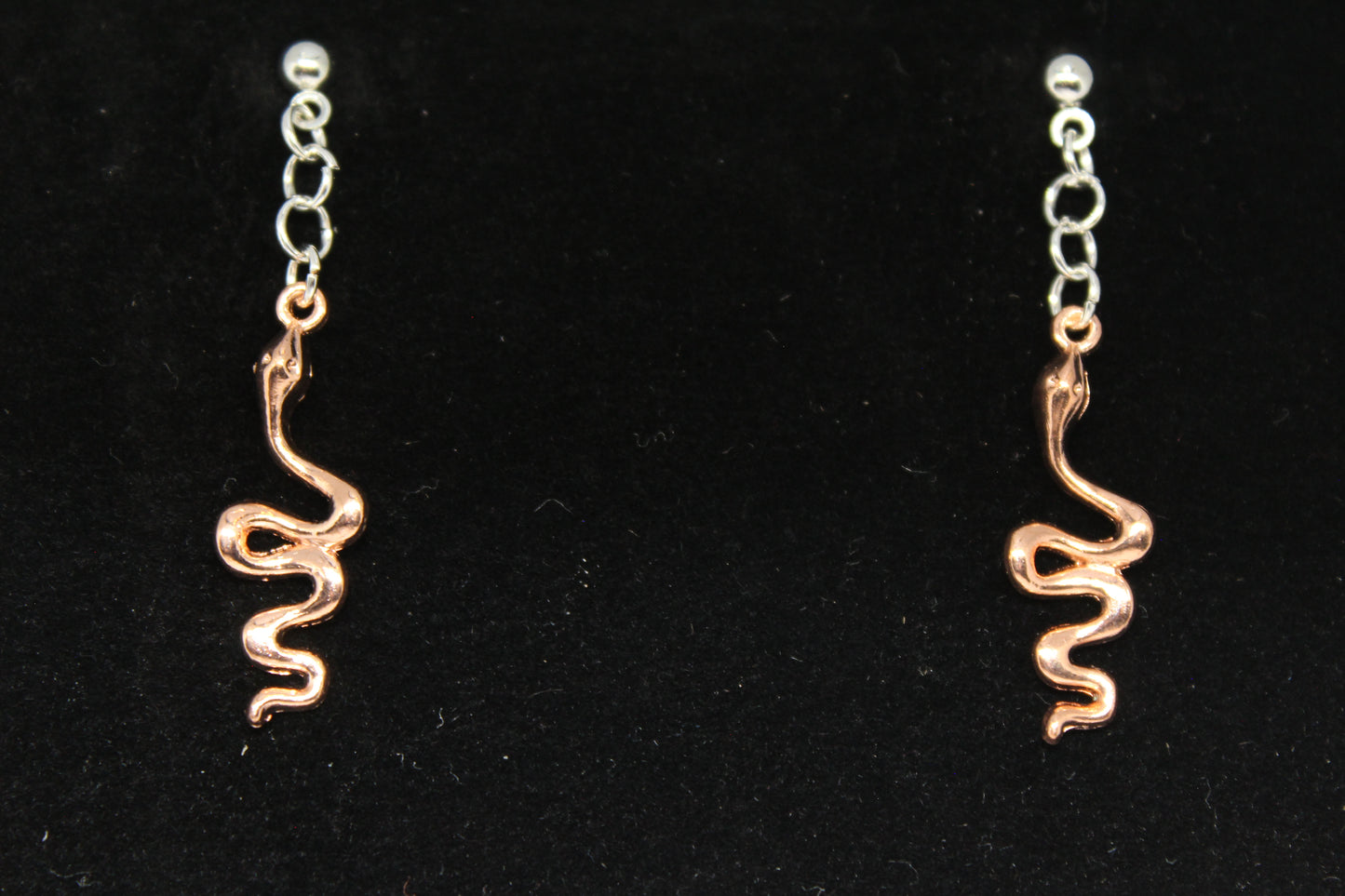 Snake Charm Earrings