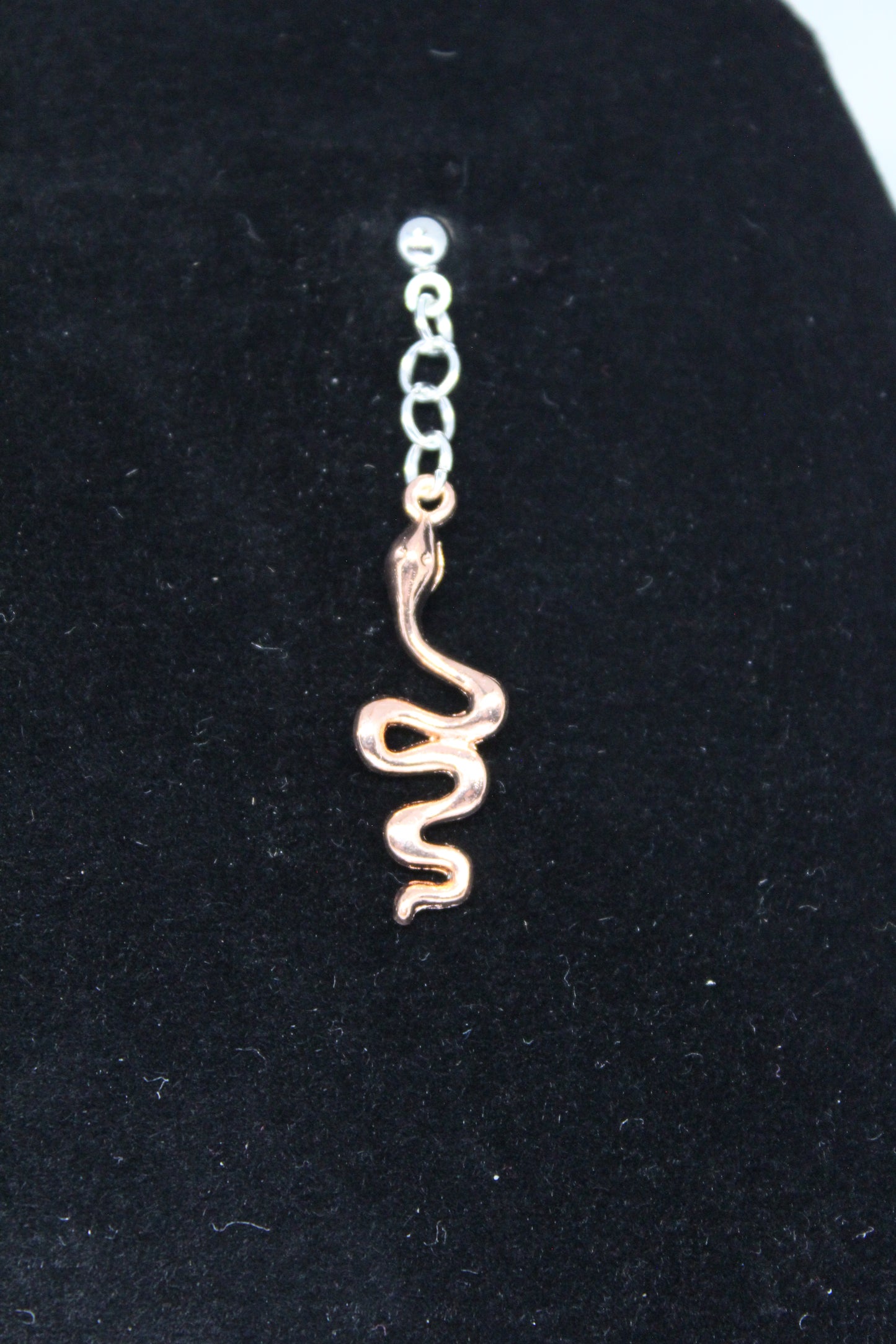 Snake Charm Earrings