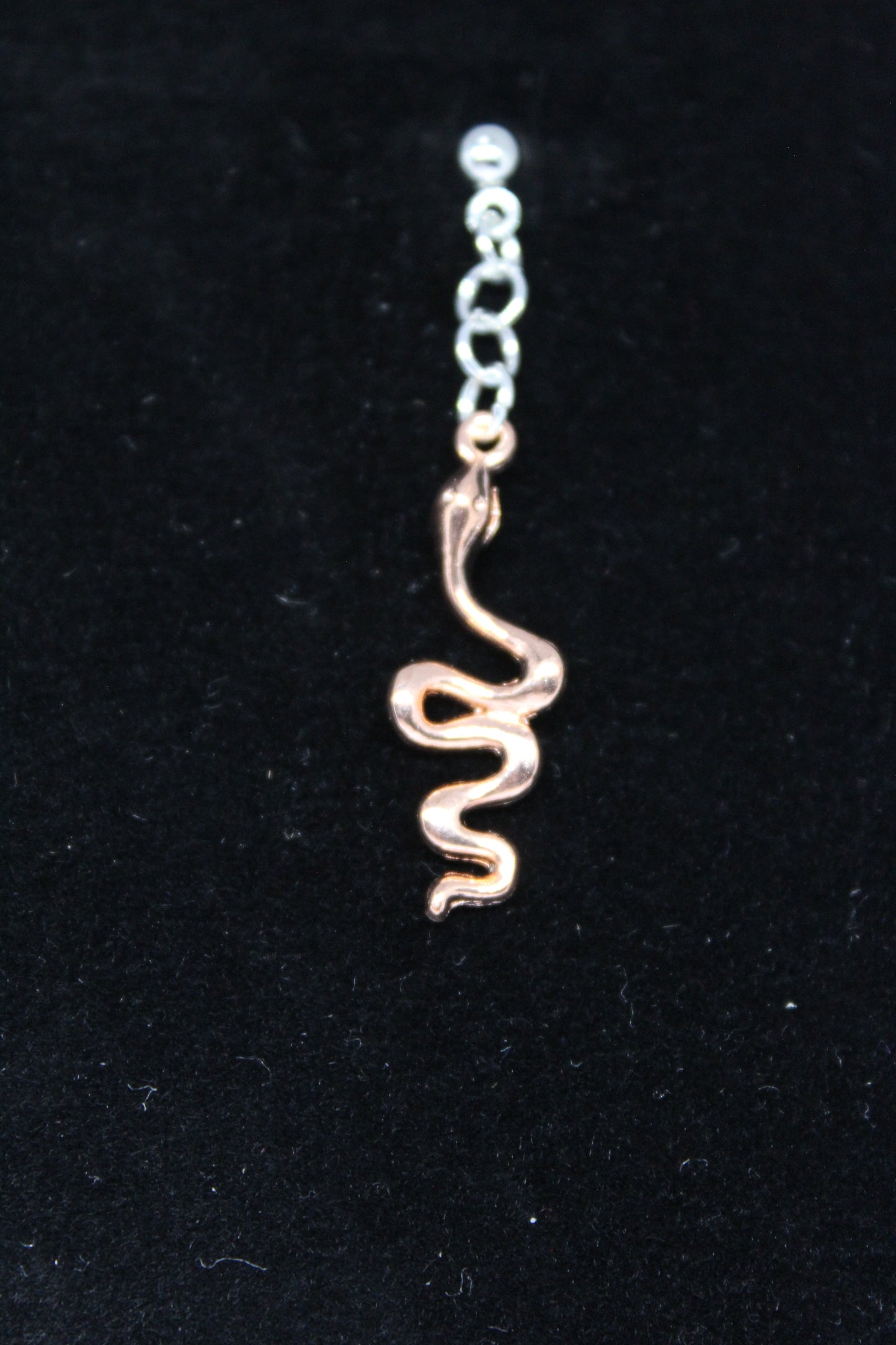 Snake Charm Earrings