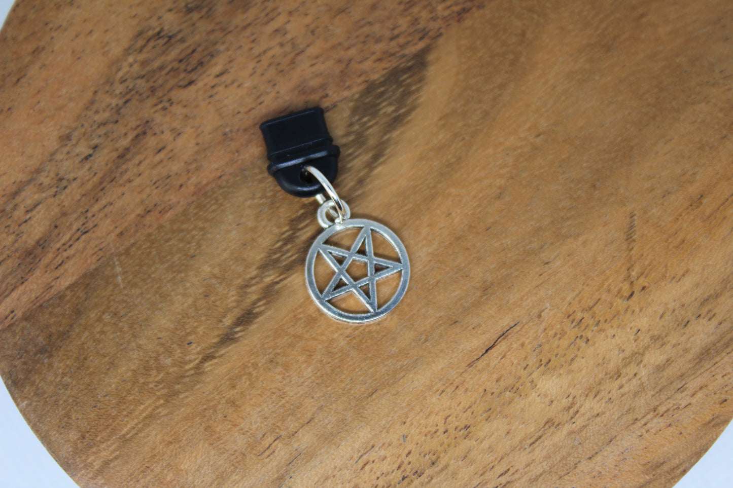 USB 2 Dust Plug Charms